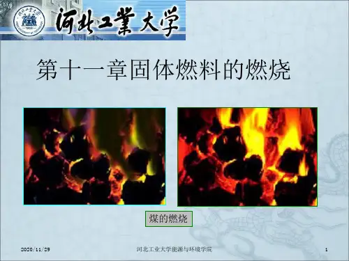 《固体燃烧》PPT课件