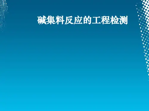 碱集料反应的工程检测