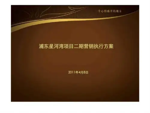 浦东星河湾项目二期营销执行方案