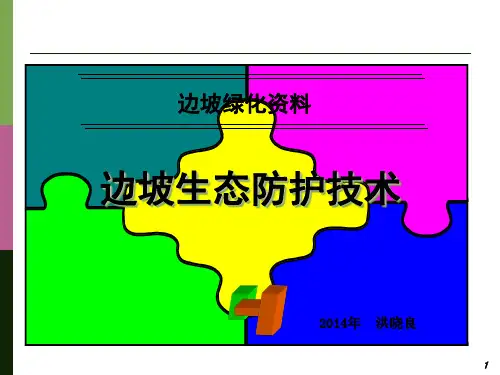边坡生态防护技术(新精品PPT课件