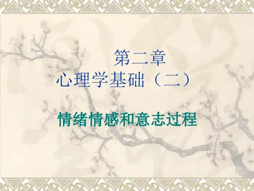 情绪情感和意志过程