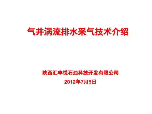 气井涡流排水采气技术介绍(2012.4.19)