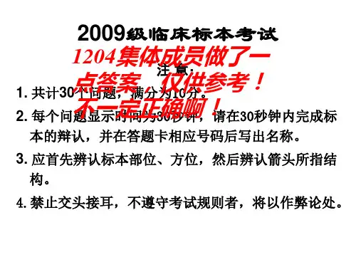 标本考试(脉管、神经) (2)