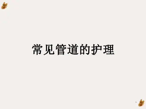 常见管道的护理ppt课件