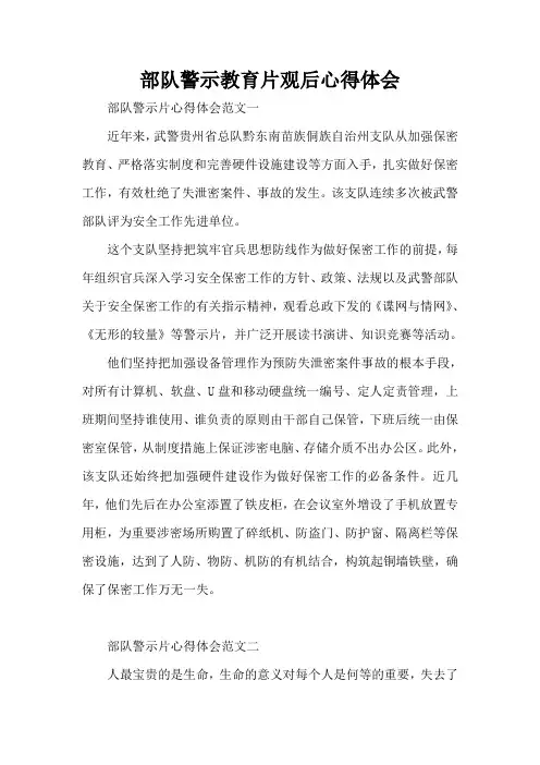 部队警示教育片观后心得体会