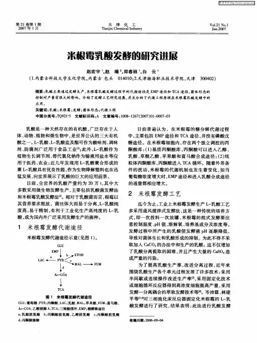 米根霉乳酸发酵的研究进展