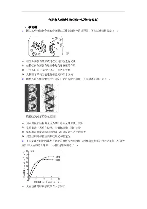 合肥市人教版生物必修一试卷(含答案)
