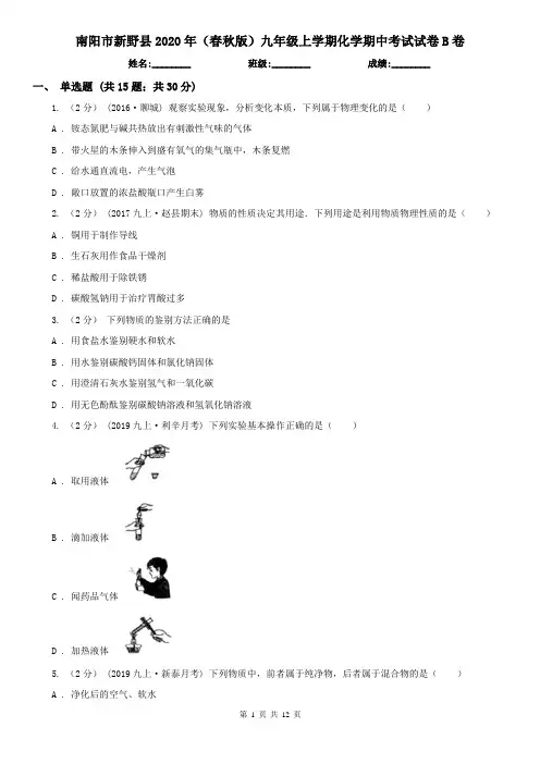 南阳市新野县2020年(春秋版)九年级上学期化学期中考试试卷B卷