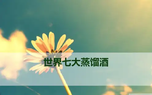最新世界七大蒸馏酒