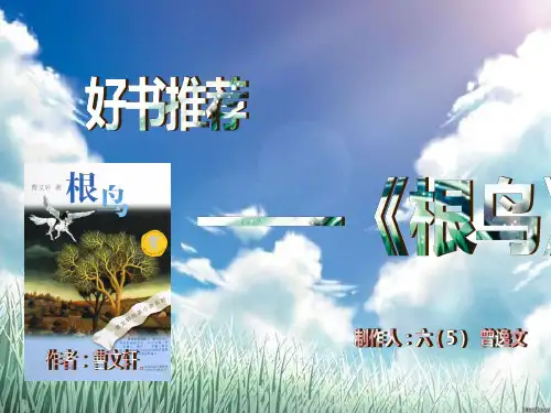 好书推荐——根鸟》
