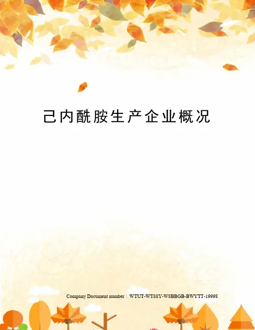 己内酰胺生产企业概况