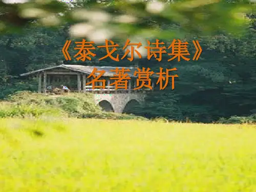 泰戈尔诗集》
