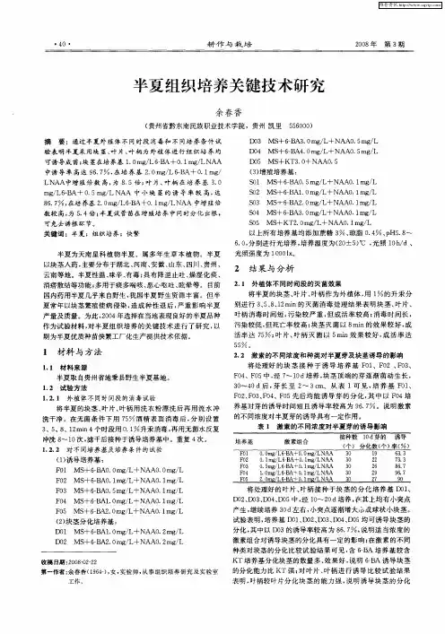 半夏组织培养关键技术研究