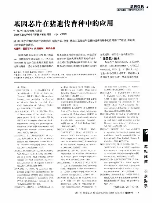 基因芯片在猪遗传育种中的应用