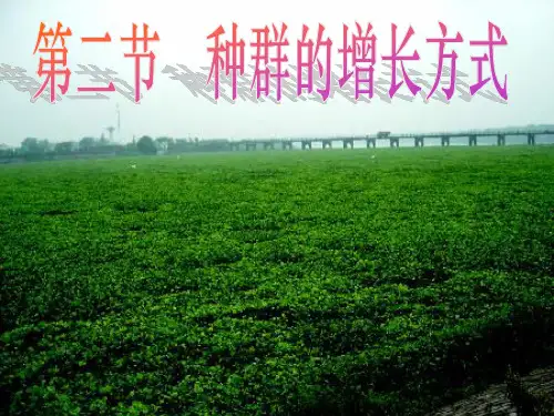 高中生物浙科版必修三第四章第二节种群的增长方式课件