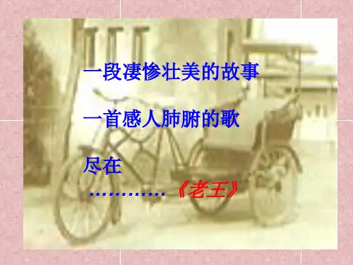 《老王》(苏教版)