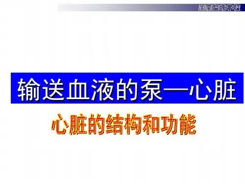 第3节 输送血液的泵—心脏