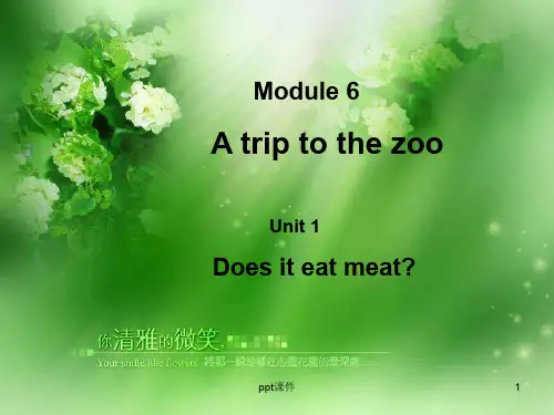 外研版新教材七年级上册m6u1 ppt课件