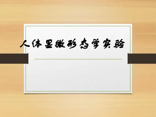 人类染色体标本制备