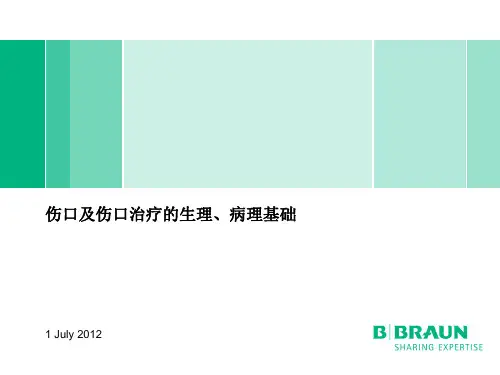 伤口及伤口治疗的生理、病理知识