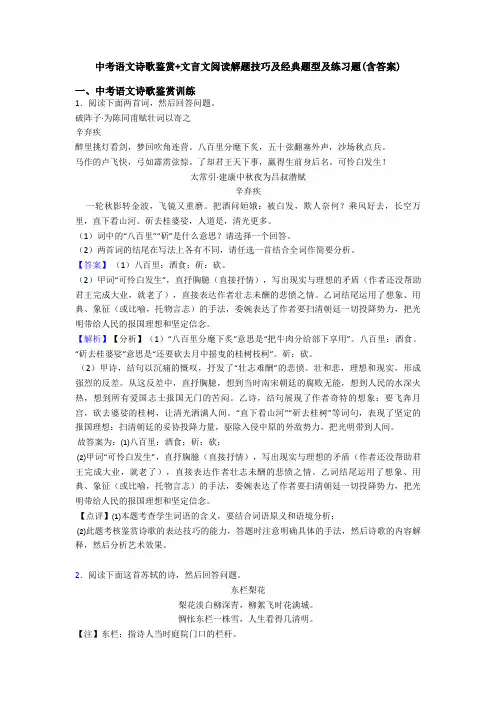 中考语文诗歌鉴赏+文言文阅读解题技巧及经典题型及练习题(含答案)