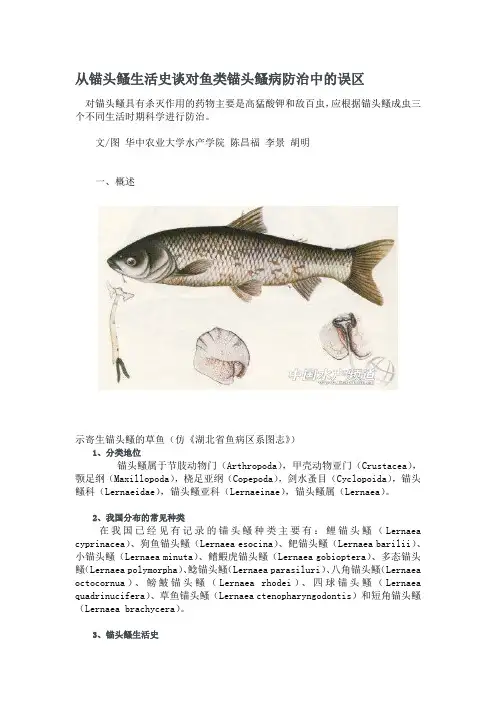从锚头鳋生活史谈对鱼类锚头鳋病防治中的误区