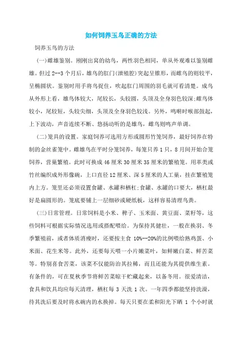 如何饲养玉鸟正确的方法