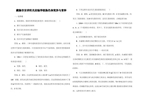 高考生物一轮复习 第七单元 生物变异 育种和进化染色体变异与育种课时作业