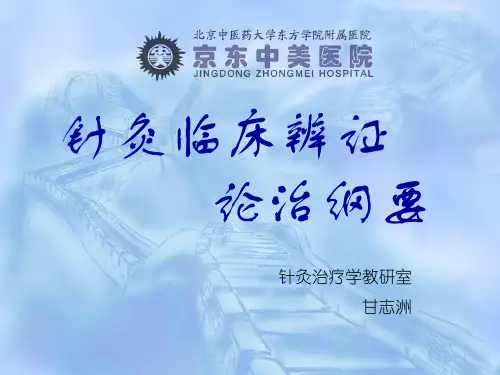 针灸临床辨证论治纲要