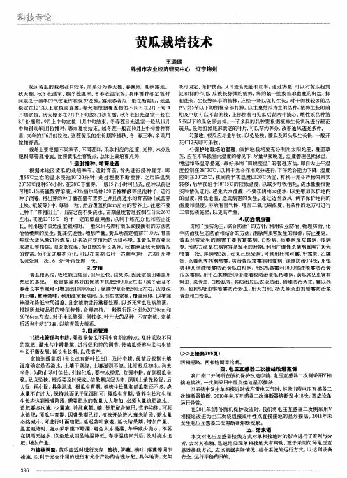 黄瓜栽培技术