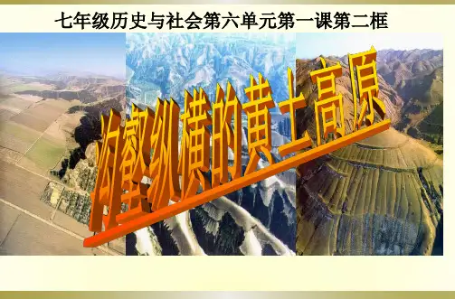 人教版七年级下册历史与社会:第一课 北方地区
