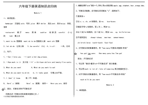 外研版六年级下册英语知识点梳理