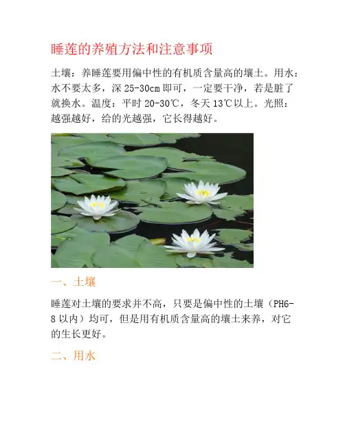 睡莲的养殖方法和注意事项