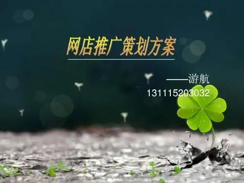 动漫周边网店推广策划.