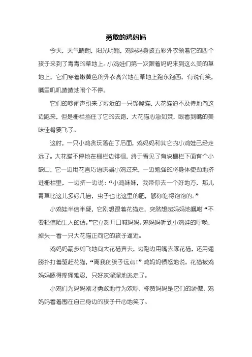 二年级作文：勇敢的鸡妈妈作文500字