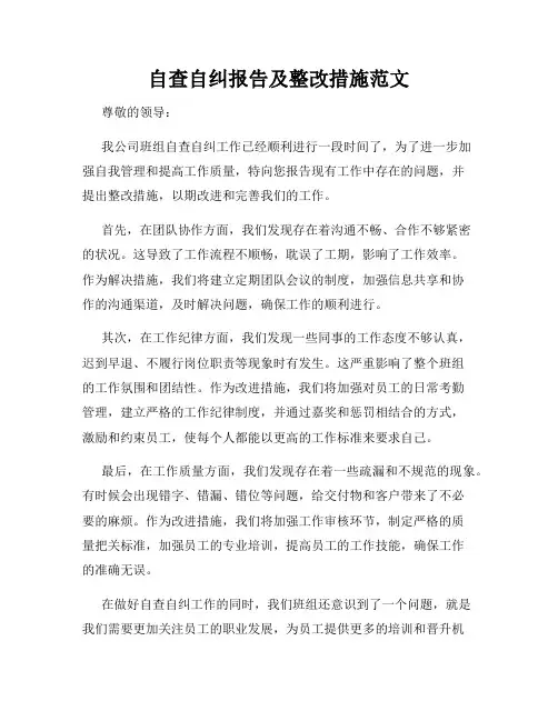 自查自纠报告及整改措施范文