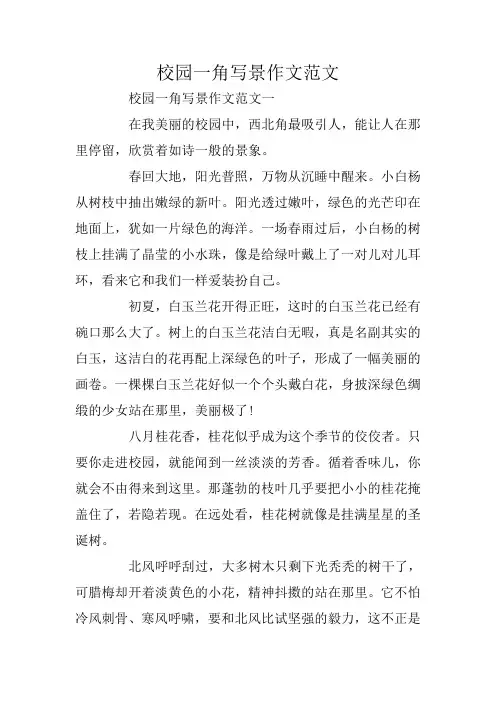 校园一角写景作文范文
