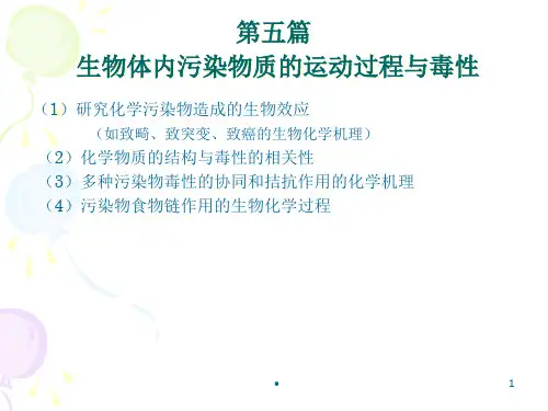 2020年第五篇化学物质的生物积累、转化与生物效应参照模板