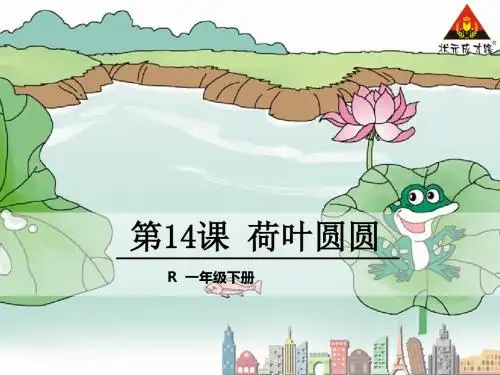14.荷叶圆圆1