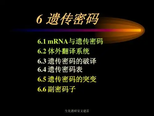 6遗传密码