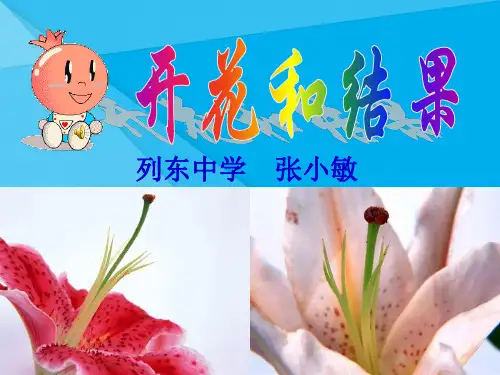 开花和结果PPT课件2(说课) 人教版优秀课件