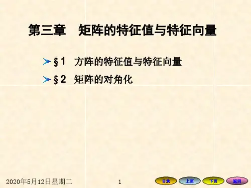 3矩阵的特征值和特征向量解析
