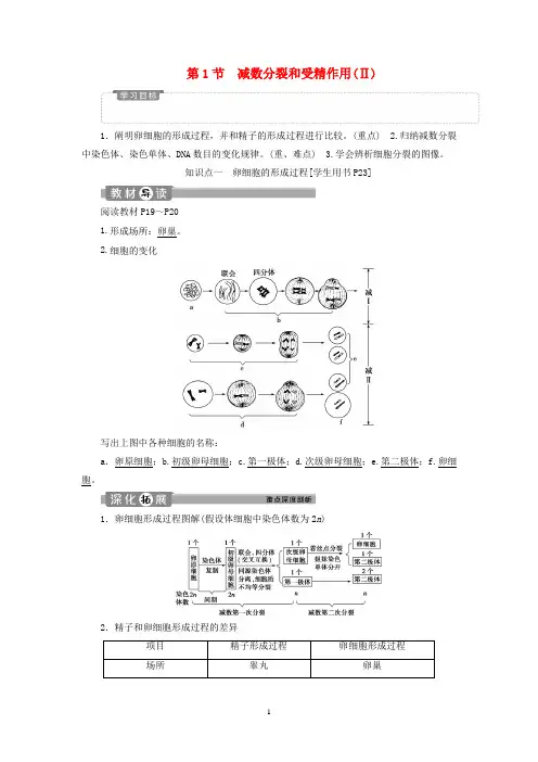 高中生物 第2章第1节 减数分裂和受精作用(Ⅱ)学案 新人教版必修2