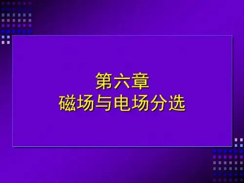 第六章 磁选与电选 2015