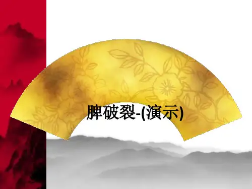 脾破裂-(演示)ppt课件