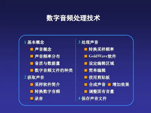 数字音频处理技术