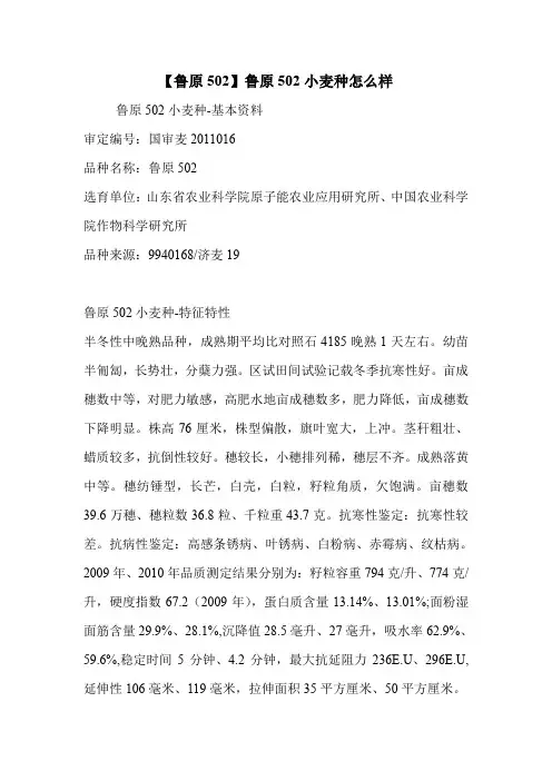 【鲁原502】鲁原502小麦种怎么样.doc