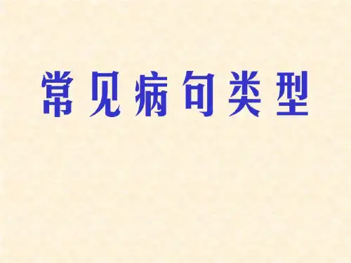 常见病句类型.ppt