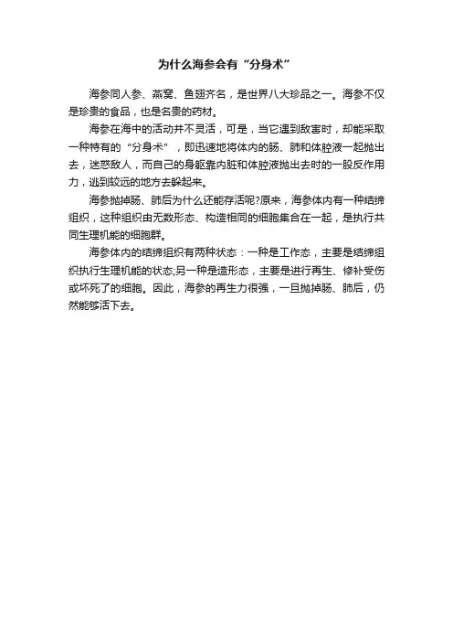 为什么海参会有“分身术”