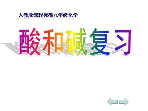 第十单元-酸和碱复习课件-人教版九年级化学下册